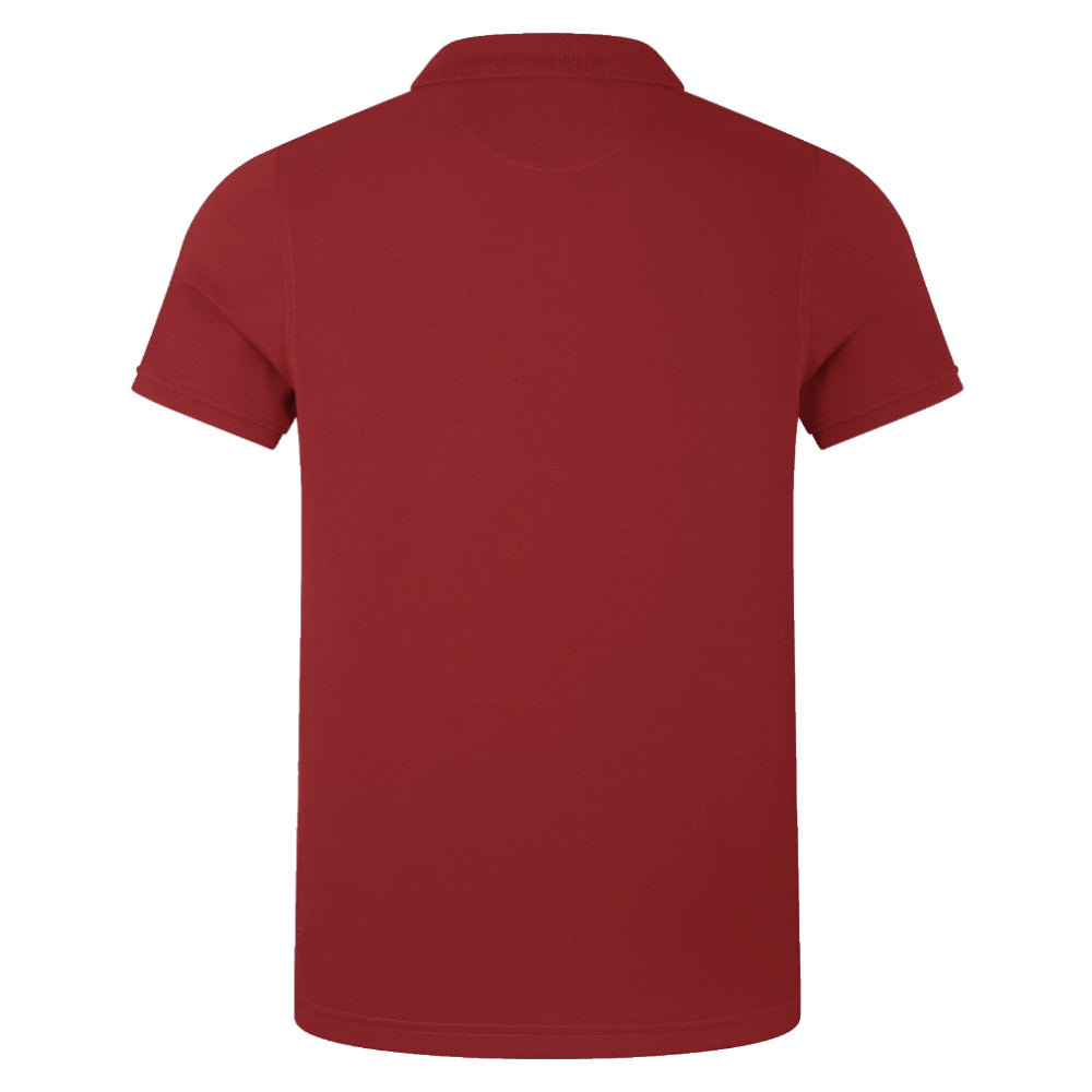 2024-2025 British & Irish Lions Pique Polo Shirt (Red) Product - Polo Shirts Canterbury   