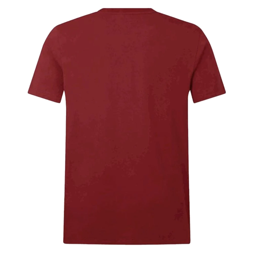 2025 British & Irish Lions Cotton Jersey T-Shirt (Red) Product - T-Shirt Canterbury